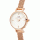DANIEL WELLINGTON DW00100744 b