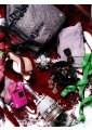 eva 2011 12 img849